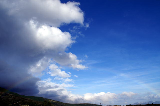 �C���[�W�ʐ^1